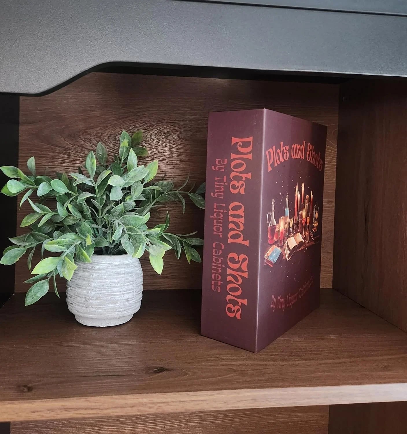 Plots and Shots hidden spirits book displayed on a shelf
