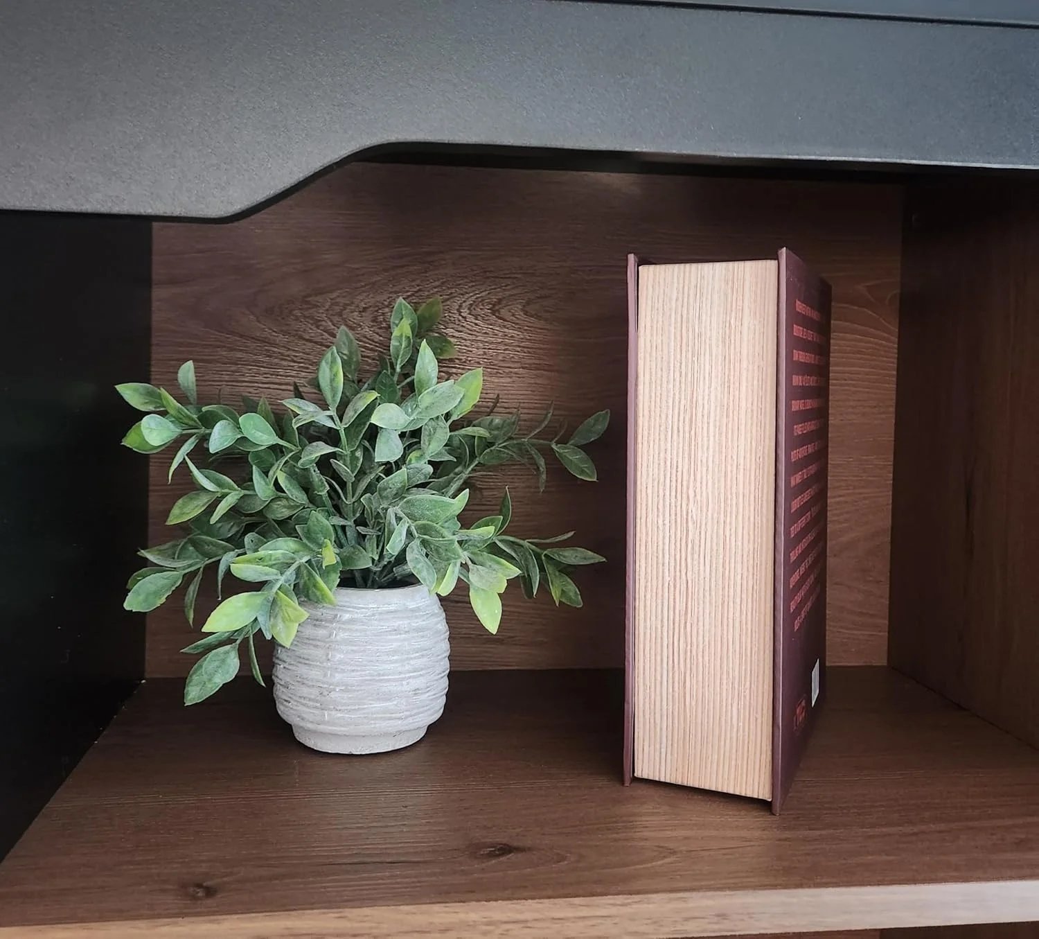 Side view of Plots and Shots displayed on a shelf