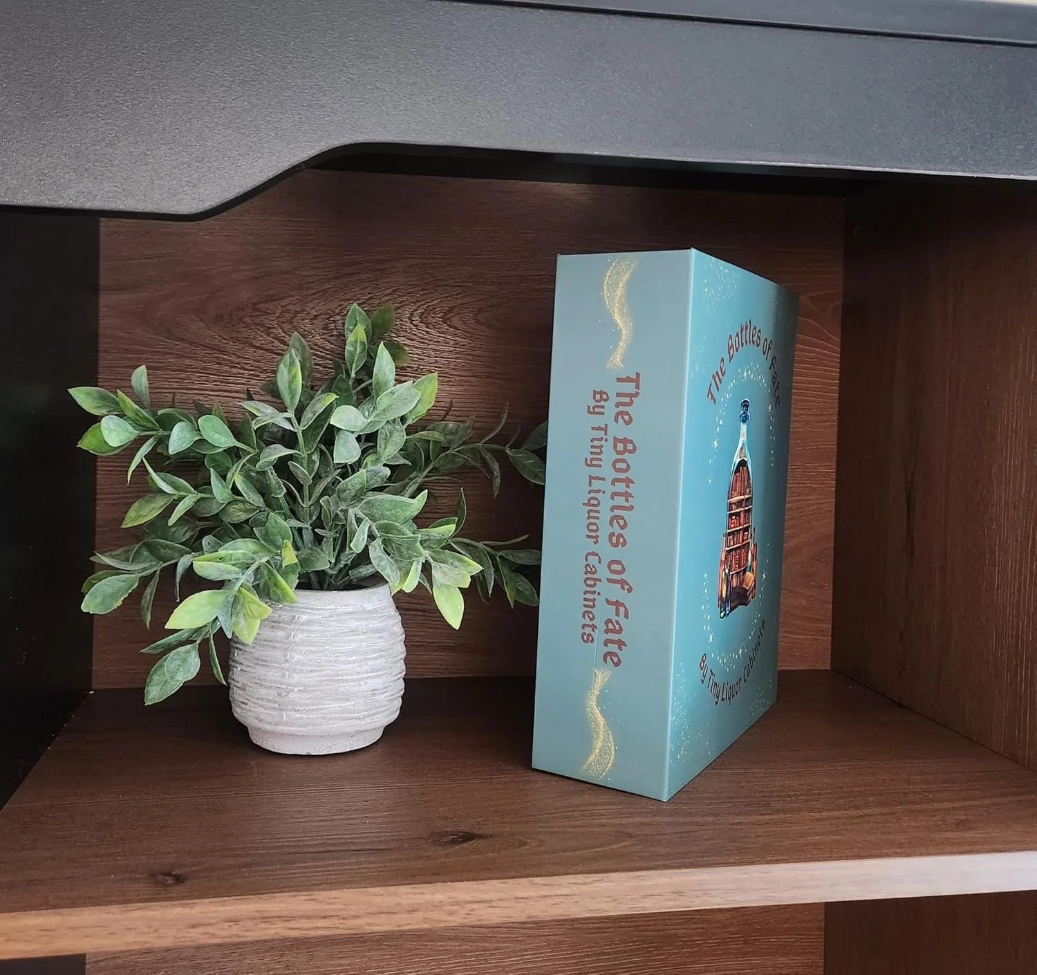 The Bottles of Fate displayed on a shelf beside a plant